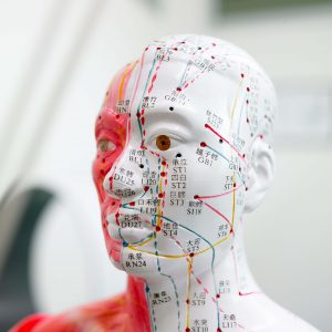 Akupunktur-Kopfmodell